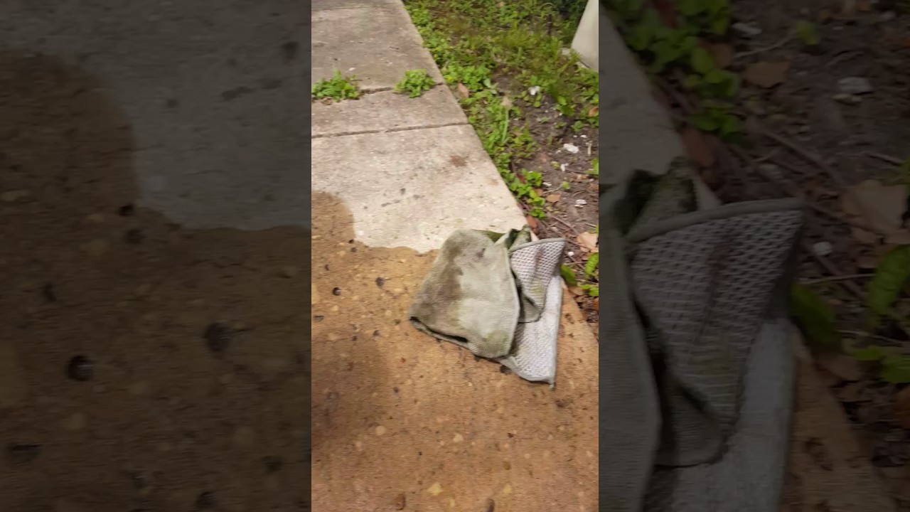 City Water in the Town of Jeanerette Part II YouTube