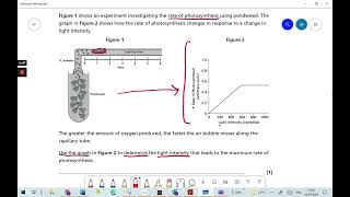 Photosynthesis - AQA GCSE Combined Science Foundation