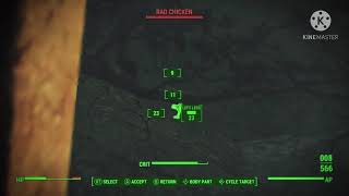 Going Rad Chicken hunting
