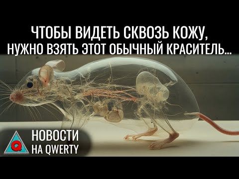 Электрическое поле Земли.
