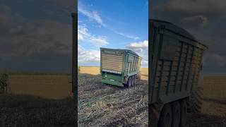 Fendt 942 in der Maisernte 2025 #farming #maisernte #fendt #agri #landwirtschaft