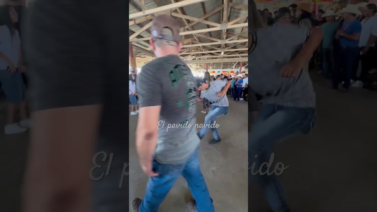 San Antonio Texas el pavido navido 