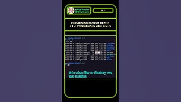 explain the output of ls -l #command in #kalilinux #nonightgams #cybersecurity #ls #basiccommands