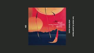 tom misch & yussef dayes _ what kinda music
