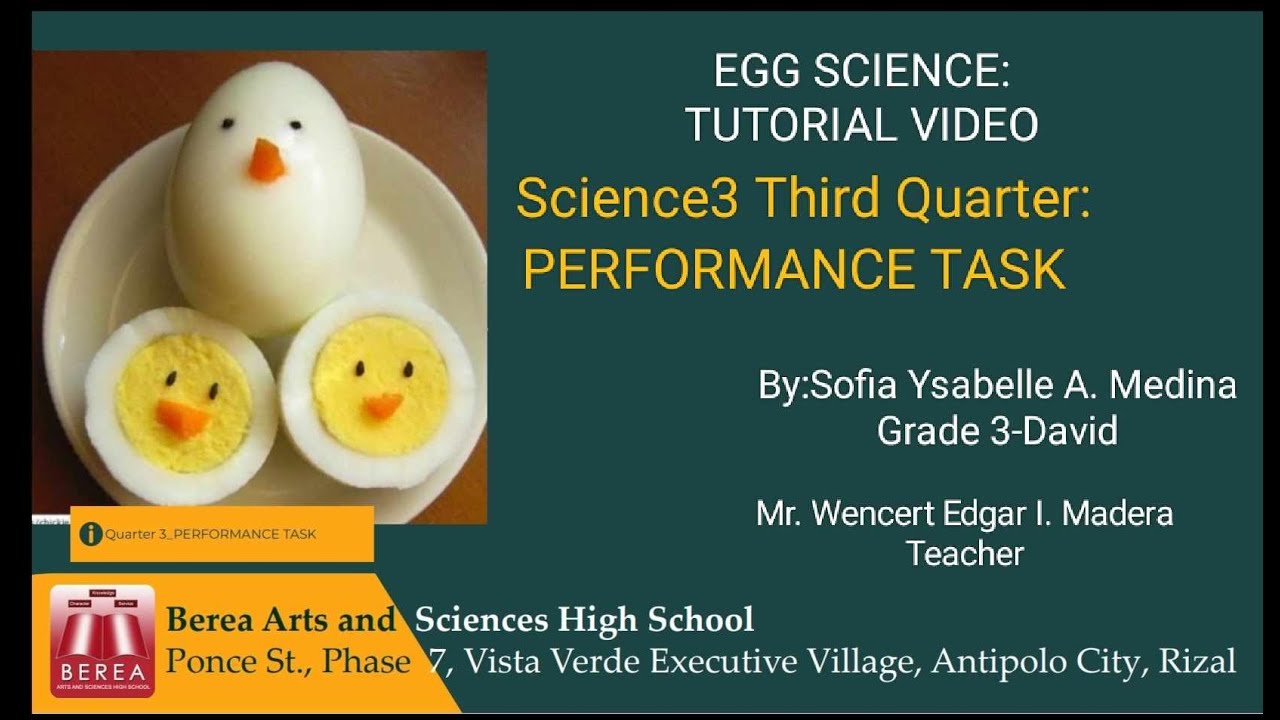 Egg Experiment Tutorial Video PT Q3Science - YouTube