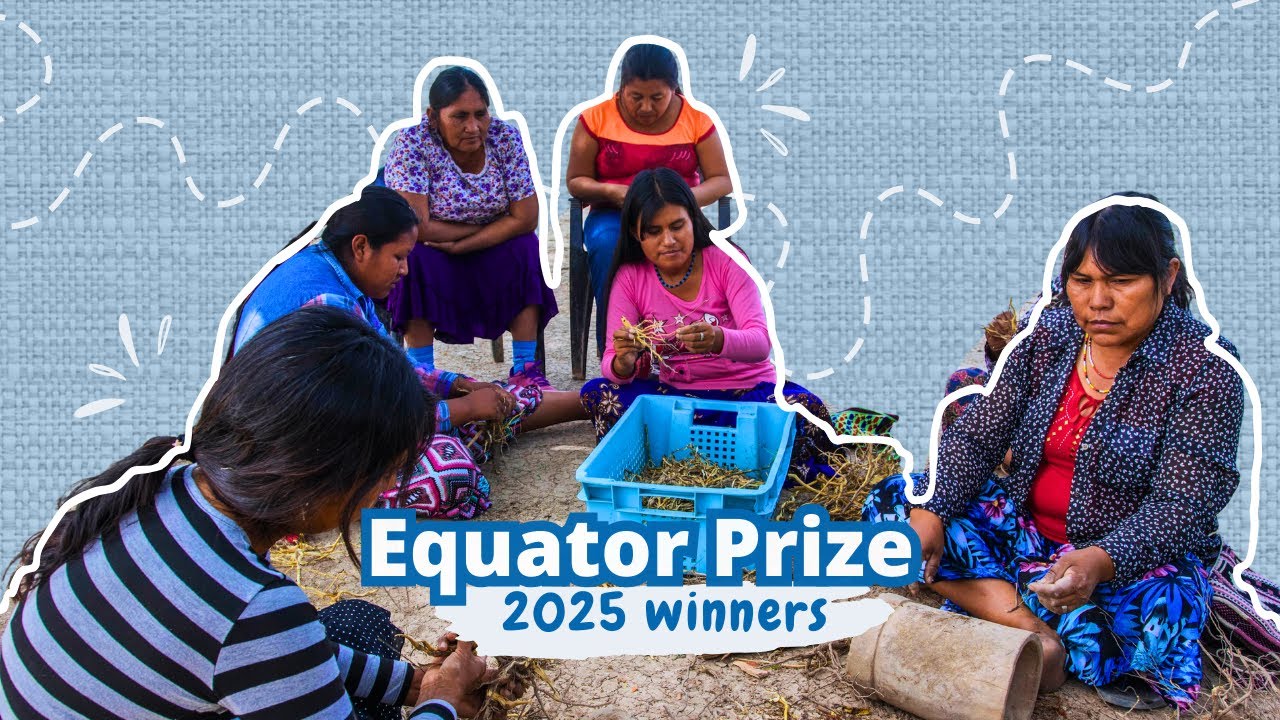 Winners of the UNDP Equator Prize 2025 | Cooperative of Women Artisans of the Gran Chaco (COMAR)