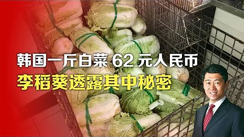 司馬南：韓國一斤白菜62元人民幣，李稻葵透露其中秘密 - 天天要聞