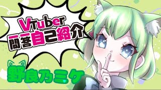 「【自己紹介】VTuber一問一答自己紹介【野良乃ミケ】」のサムネイル