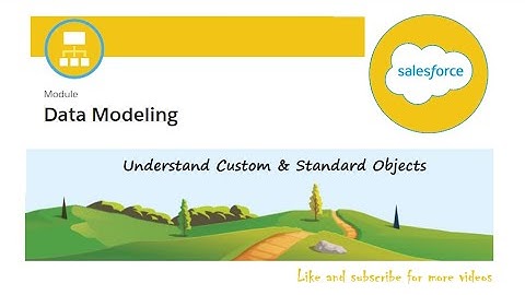 Understand Custom & Standard Objects