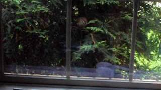 AN UNEXPECTED VISIT (Part 1 of 2)