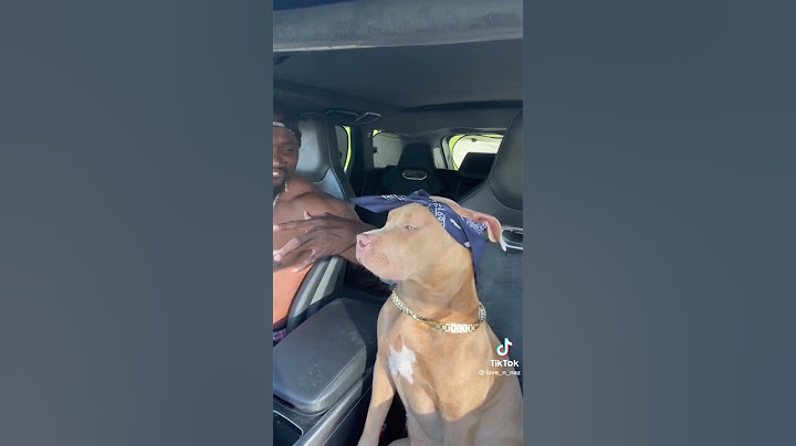 DOG Jamming to #2pac #dog #funny #dance #shorts