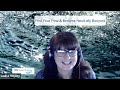 Six Simple Question Louise Mosley