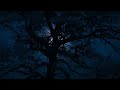 Fall asleep to the relaxing sounds of wind in the trees for sleep insomnia tinnitus