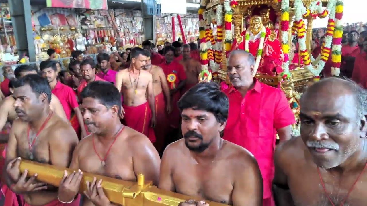 தங்க தேர் ஊர்வலம்.