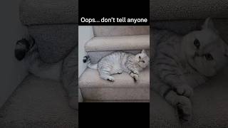 Oops I Just Wanted To Stretch