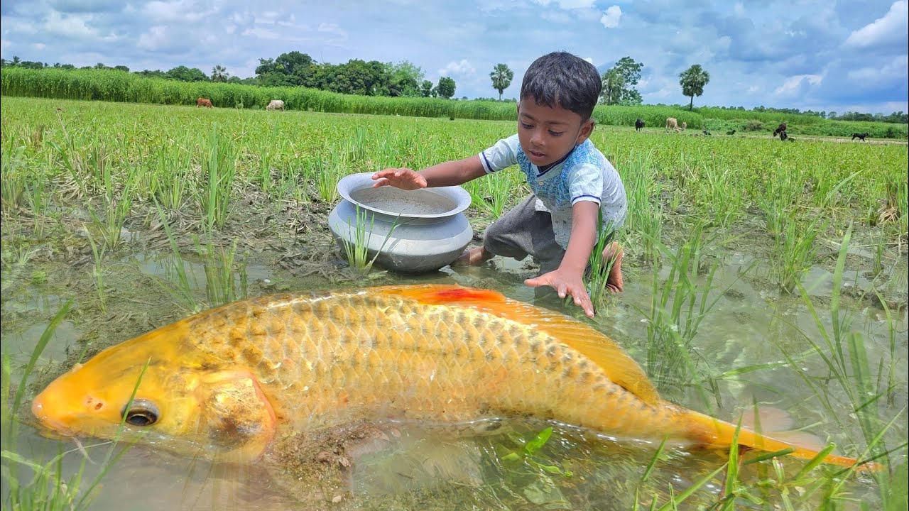 Wow Really Amazing Excellent Fishing Video | Little Boy Catching Big ...