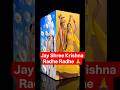 Radha Rani Bhajan Mashup | The Brajkeepers | Radhashtami Special 2026 #shorts #viral #krishnabhajan