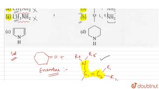 Which of the following amines will react with cyclohexanone to give enamine
