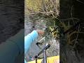 Rod and reel overboard #shimano #kayakfishing #fishing #bassfishing