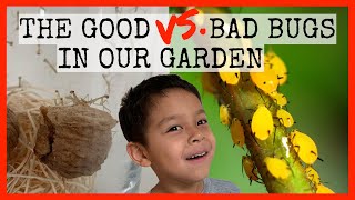🐞🦟 Good VS. Bad Insects in the Garden! Resimi