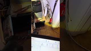 How Hydrogen Leak Detection Finds Hidden Water Leaks Without Lifting Floors | Muswell Hill