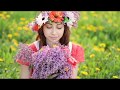 Where Have All The Flowers Gone 花落何方 經典抒情金曲 Pete Seeger 中英歌詞 Where Have All The Flowers Gone 花落何方 經典抒情金曲 Pete Seeger 中英歌詞