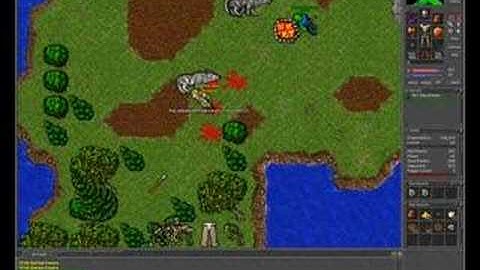 Tibia goes wrong, really wrong