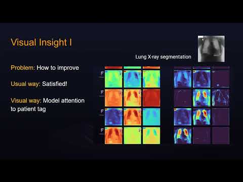 Image from Visualizing ONNX models' internal data: Key thing to look for?
