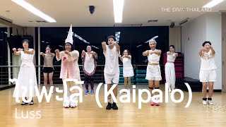 ไข่พะโล้ (Kaipalo) - Luss | #เต้นออกกำลังกาย | Fiva Dance | The Diva Thailand