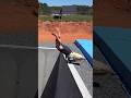 Don't see 🙈 this video #funny #usa #memes #usashorts #youtube #short