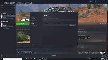 how to have old versions for beamng drive