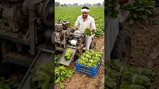 😱 Farmer's Automatic Vegetable Bundling Machine Saves Hours of Work! 🌿🚜 #shorts