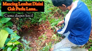 Lele lembat disini rakus-rakus..(mancing lembat) @Roso Blusukan