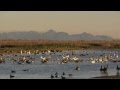 Your Sacramento Wildlife Refuge