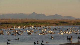 Your Sacramento Wildlife Refuge