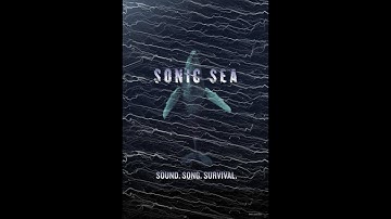 Sonic Sea - Documentary (2016)