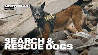 Search and rescue dogs help reach victims after rocket attacks in Zaporizhzhia. UNITED24 media