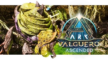 ARK Valguero Loot & Artifact Guide