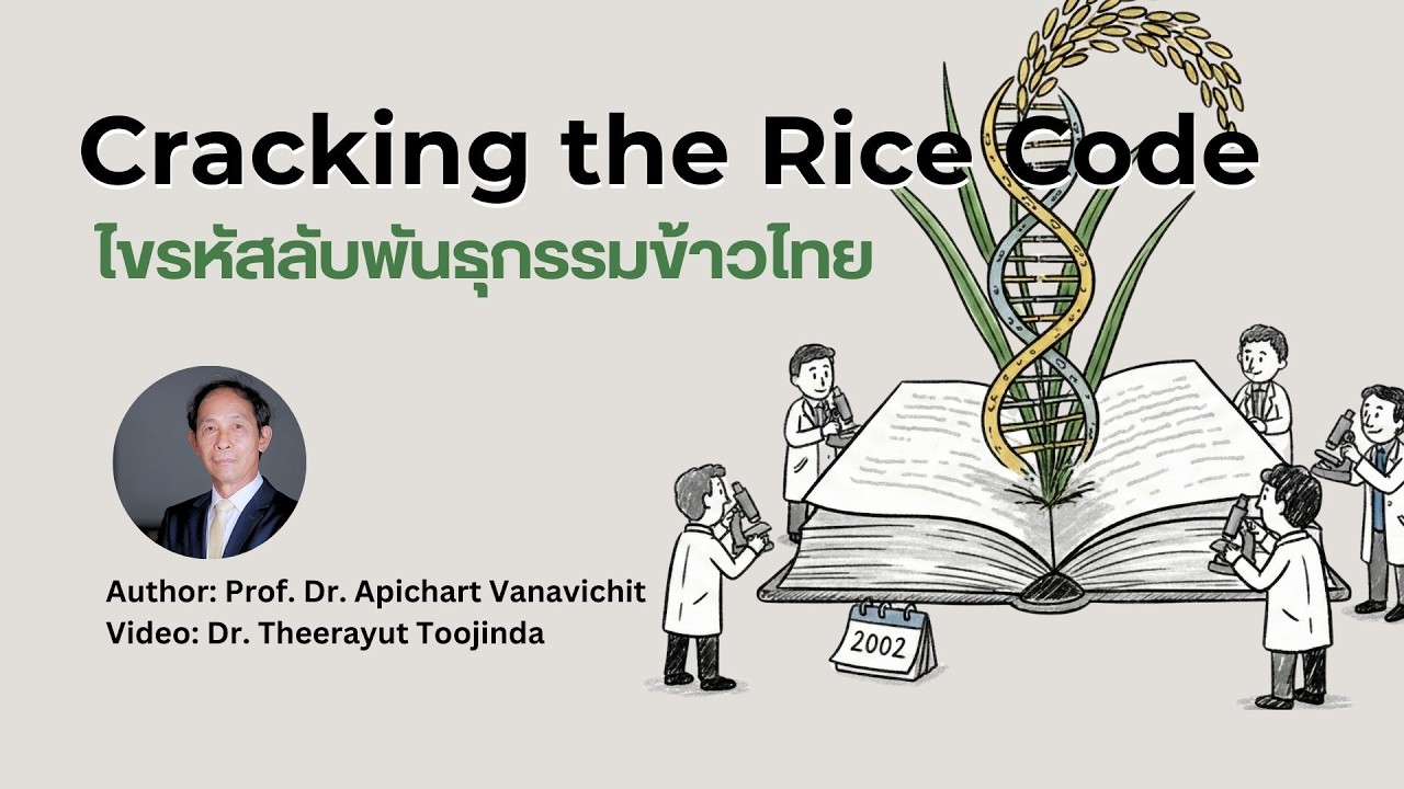 Cracking the Rice Code - YouTube