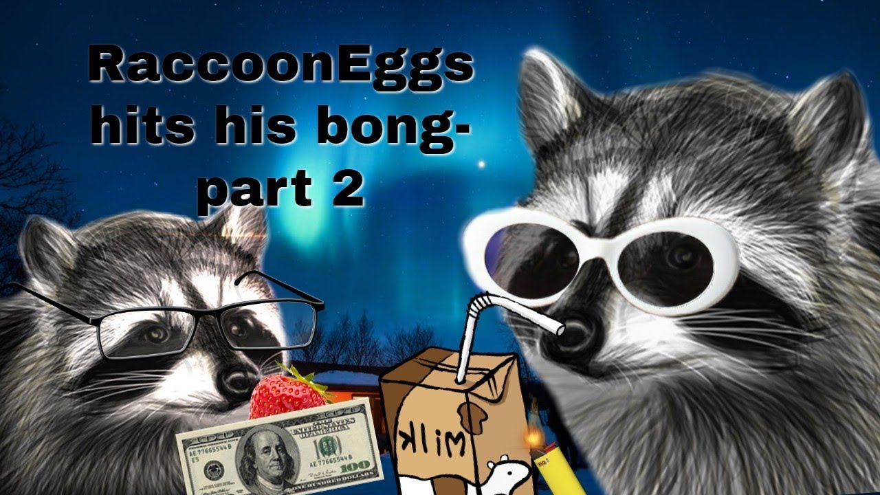 RaccoonEggs hits a BONK on stream part 2 (with edited visuals) YouTube