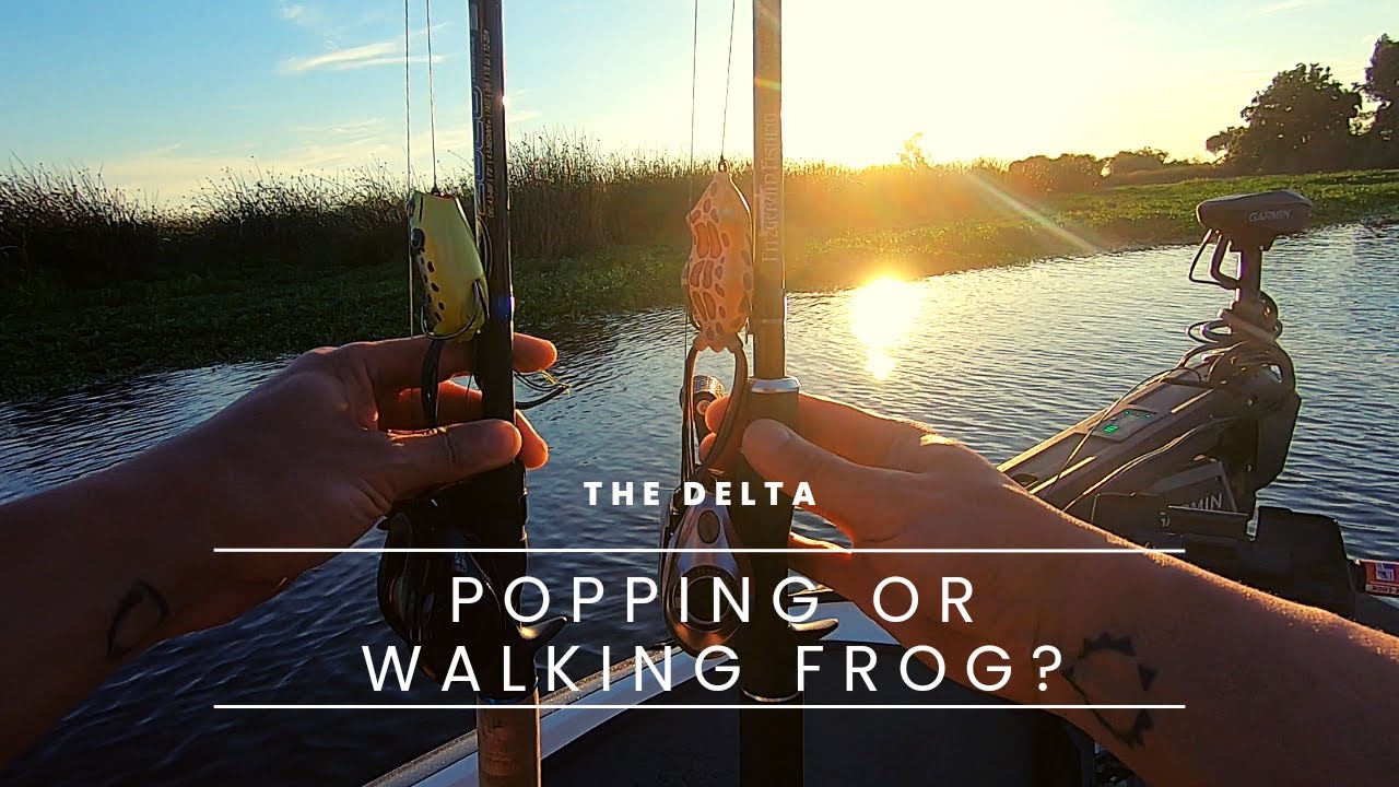CA Delta Bass Fishing … Still a Sunset Sunrise bite! 3rd week of July
