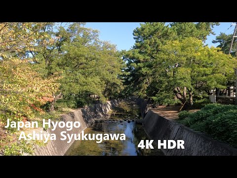 【4K HDR】relax Riverside Walk【Japan Hyogo Ashiya・Syukugawa river】trabel・trip in nature