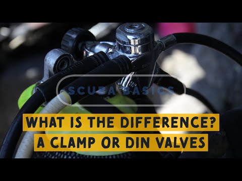 Video: Scuba Diving Magazines Vinnere Av Vannkonkurranse Under Vann