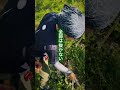 雑草を抜きたくない人へ。「抜かない＝放置」ではありません。雑草は、土の状態や水の流れ、踏圧、光に応じて生えてきます。抜くか抜かないかではなく、その草が今、その場所で何をしているかを見ること。