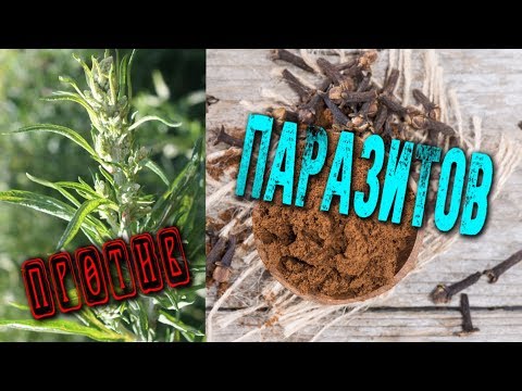 Лучшие противопаразитарные растения — это необходимо знать