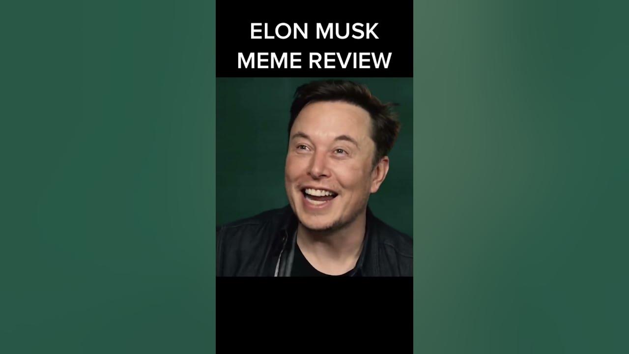 Why my dolphin not working lol elon spacex elonmusk space 
