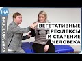 Вегетативные рефлексы и старение человека. Прикладная кинезиология. Людмила Васильева