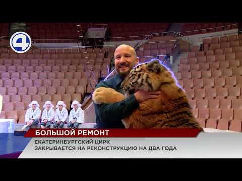 Video: Yekaterinburg-cirkus: program, anmeldelser
