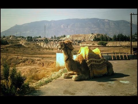 Ο καμηλιέρης σου Ισθμού της Κορίνθου