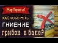 Грибок и плесень в бане! Почему гниет баня? КАК предотвратить гниль в бане?